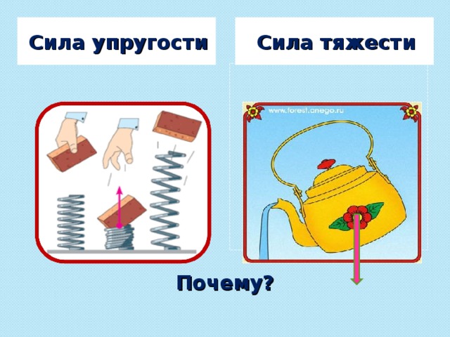 Сила тяжести Сила упругости Почему? 