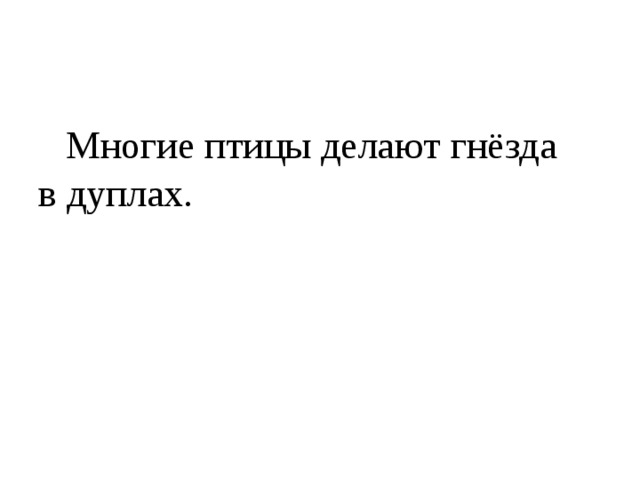  Многие птицы делают гнёзда в дуплах. 
