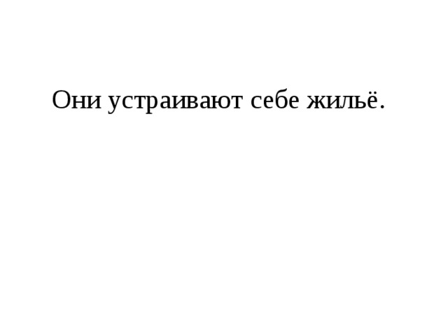  Они устраивают себе жильё. 