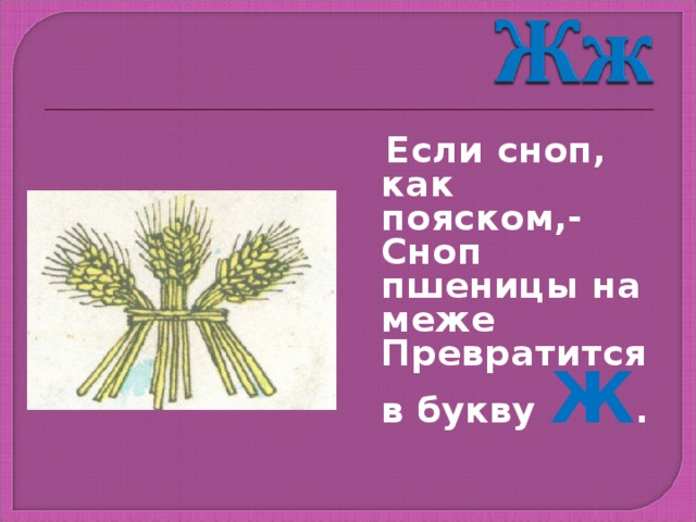  Если сноп, как пояском,- Сноп пшеницы на меже Превратится в букву Ж . 