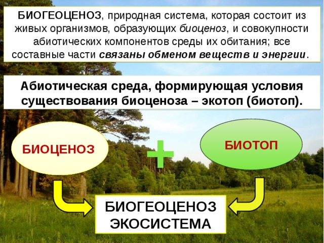 БИОГЕОЦЕНОЗ , природная система, которая состоит из живых организмов, образующих биоценоз , и совокупности абиотических компонентов среды их обитания; все составные части связаны обменом веществ и энергии . Абиотическая среда, формирующая условия существования биоценоза – экотоп (биотоп). + БИОТОП БИОЦЕНОЗ БИОГЕОЦЕНОЗ ЭКОСИСТЕМА 