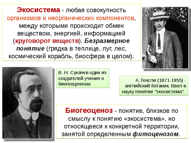 Экосистема - любая совокупность организмов и неорганических компонентов , между которыми происходит обмен веществом, энергией, информацией ( круговорот веществ ). Безразмерное понятие (грядка в теплице, луг, лес, космический корабль, биосфера в целом). В. Н. Сукачев один из создателей учения о биогеоценозах А.Тенсли (1871-1955) - английский ботаник. Ввел в науку понятие 