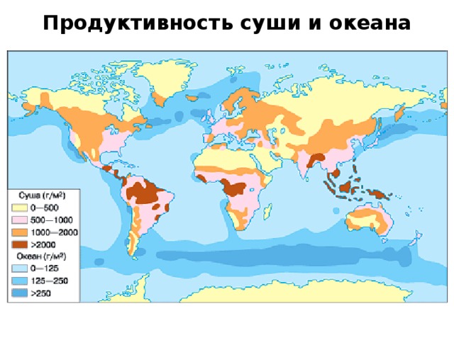 Продуктивность суши и океана 