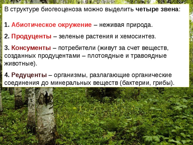 В структуре биогеоценоза можно выделить четыре звена : 1. Абиотическое окружение  – неживая природа. 2. Продуценты  – зеленые растения и хемосинтез. 3. Консументы – потребители (живут за счет веществ, созданных продуцентами – плотоядные и травоядные животные). 4. Редуценты  – организмы, разлагающие органические соединения до минеральных веществ (бактерии, грибы). 