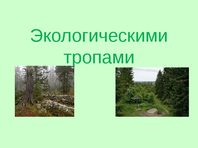 Экологическими тропами