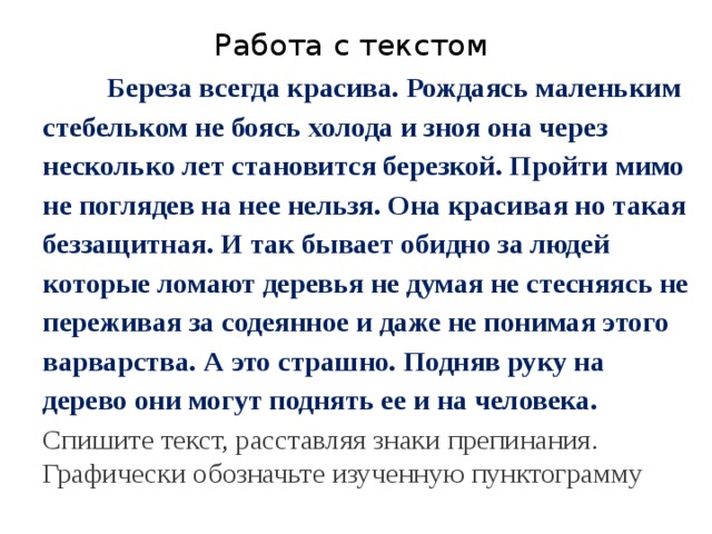 Работа с текстом  Береза всегда красива. Рождаясь маленьким стебельком не боясь холода и зноя она через несколько лет становится березкой. Пройти мимо не поглядев на нее нельзя. Она красивая но такая беззащитная. И так бывает обидно за людей которые ломают деревья не думая не стесняясь не переживая за содеянное и даже не понимая этого варварства. А это страшно. Подняв руку на дерево они могут поднять ее и на человека. Спишите текст, расставляя знаки препинания. Графически обозначьте изученную пунктограмму 