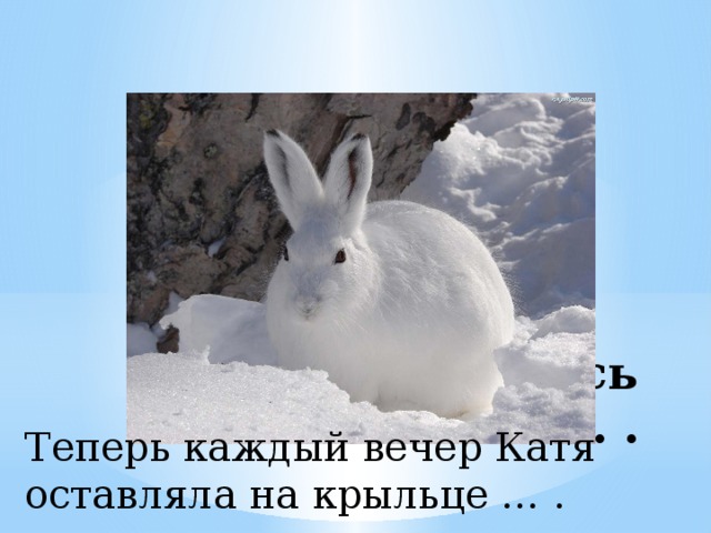 Догадалась Катя. Это был… . Теперь каждый вечер Катя оставляла на крыльце … . 