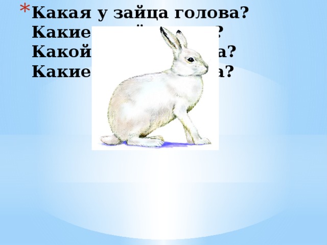 Какая у зайца голова?  Какие у зайца уши?  Какой хвост у зайца?  Какие лапы у зайца?   