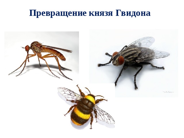 Превращение князя Гвидона 