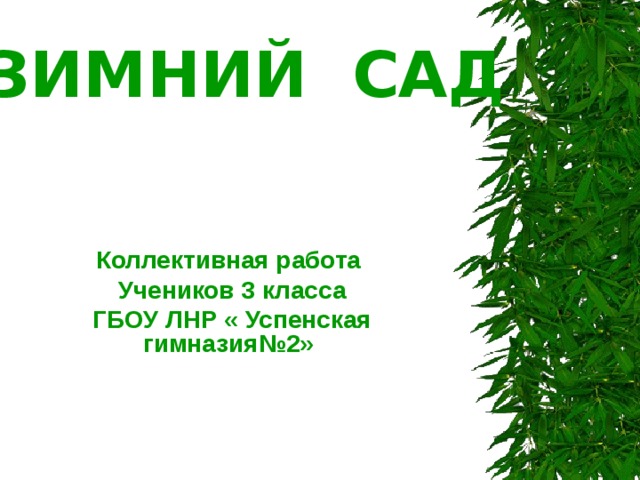 ЗИМНИЙ САД   Коллективная работа Учеников 3 класса ГБОУ ЛНР « Успенская гимназия№2»  