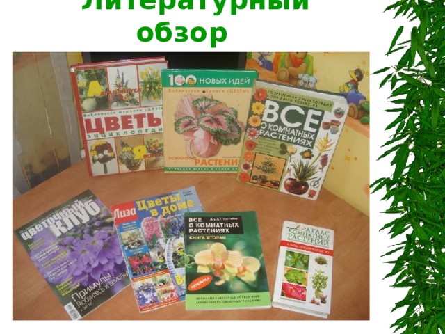  Литературный  обзор 