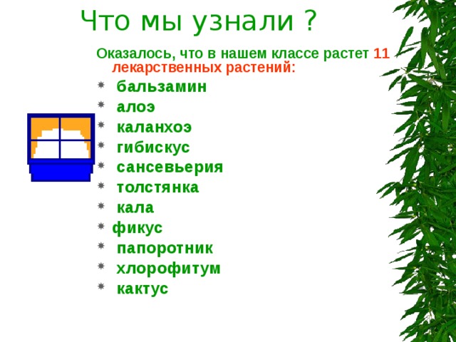 Что мы узнали ? Оказалось, что в нашем классе растет 11 лекарственных растений:  бальзамин  алоэ  каланхоэ  гибискус  сансевьерия  толстянка  кала фикус  папоротник  хлорофитум  кактус 