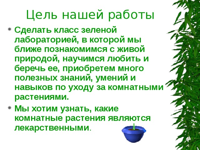 Цель нашей работы Сделать класс зеленой лабораторией, в которой мы ближе познакомимся с живой природой, научимся любить и беречь ее, приобретем много полезных знаний, умений и навыков по уходу за комнатными растениями. Мы хотим узнать, какие комнатные растения являются лекарственными . 