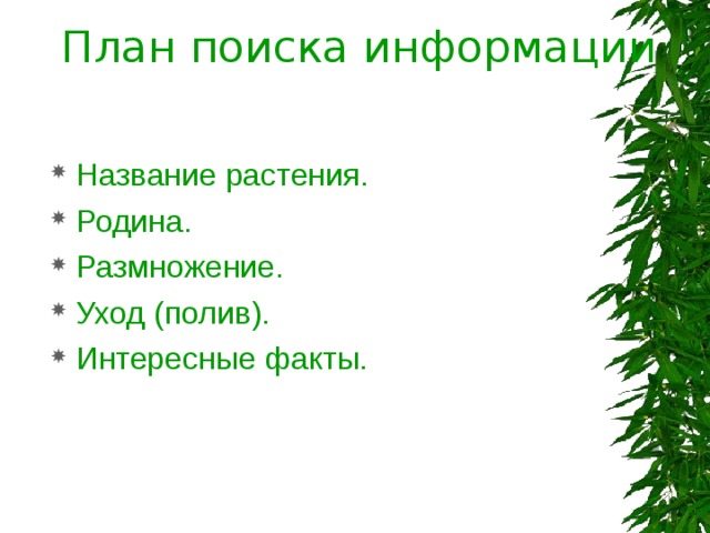 План поиска информации Название растения. Родина. Размножение. Уход (полив). Интересные факты. 
