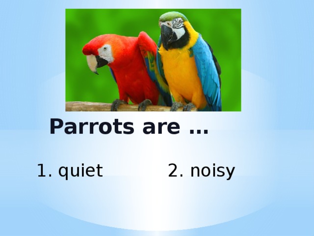 Parrots are … 1. quiet 2. noisy 