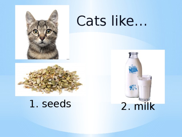 Cats like… 1. seeds 2. milk 