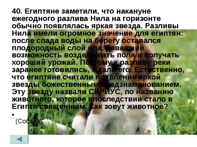 40. Египтяне заметили, что накануне ежегодного разлива Нила на горизонте обычно появлялась яркая звезда. Разливы Нила имели огромное значение для египтян: после спада воды на берегу оставался плодородный слой ила, дававший возможность возделывать поля и получать хороший урожай. Поэтому к разливу реки заранее готовились, ждали его. Естественно, что египтяне считали появление яркой звезды божественным предзнаменованием. Эту звезду назвали СИРИУС, по названию животного, которое впоследствии стало в Египте священным. Как зовут животное?  (Собака) 