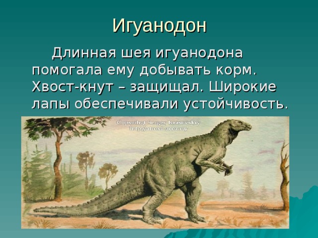 Игуанодон   Длинная шея игуанодона помогала ему добывать корм. Хвост-кнут – защищал. Широкие лапы обеспечивали устойчивость. 
