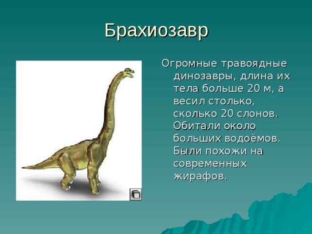 Брахиозавр Огромные травоядные динозавры, длина их тела больше 20 м, а весил столько, сколько 20 слонов. Обитали около больших водоёмов. Были похожи на современных жирафов. 