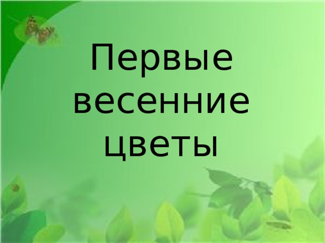 Первые весенние цветы 