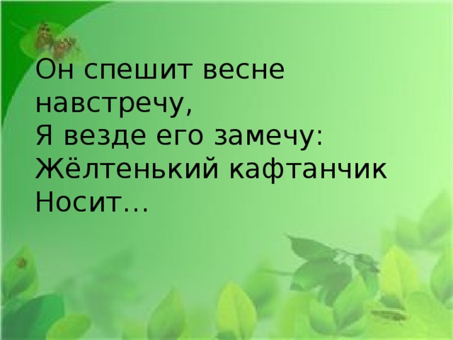 Он спешит весне навстречу,  Я везде его замечу:  Жёлтенький кафтанчик  Носит… 