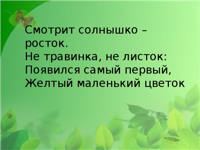 Смотрит солнышко – росток.  Не травинка, не листок:  Появился самый первый,  Желтый маленький цветок 