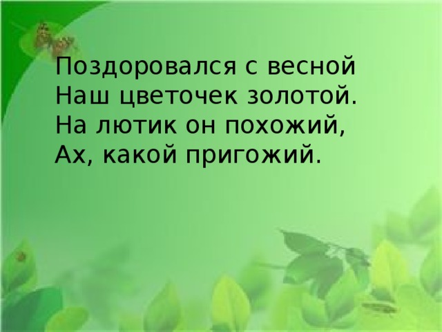 Поздоровался с весной  Наш цветочек золотой.  На лютик он похожий,  Ах, какой пригожий. 