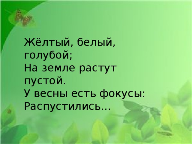 Жёлтый, белый, голубой;  На земле растут пустой.  У весны есть фокусы:  Распустились...   