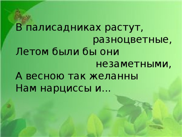 В палисадниках растут,                          разноцветные,  Летом были бы они                           незаметными,  А весною так желанны  Нам нарциссы и... 