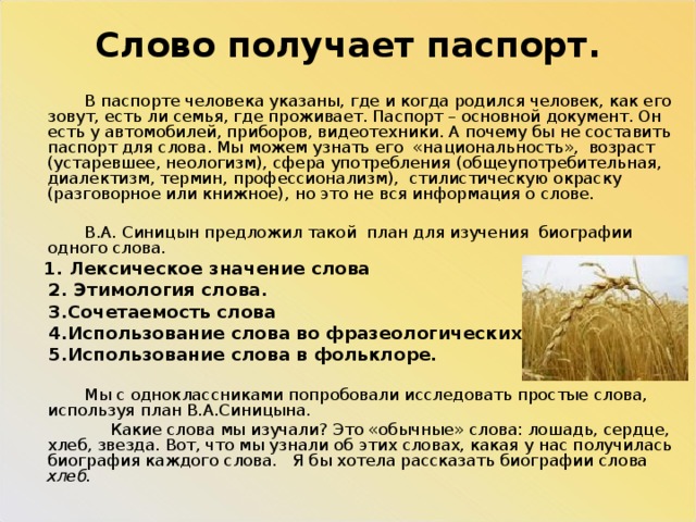 Слово получает паспорт.  В паспорте человека указаны, где и когда родился человек, как его зовут, есть ли семья, где проживает. Паспорт – основной документ. Он есть у автомобилей, приборов, видеотехники. А почему бы не составить паспорт для слова. Мы можем узнать его «национальность», возраст (устаревшее, неологизм), сфера употребления (общеупотребительная, диалектизм, термин, профессионализм), стилистическую окраску (разговорное или книжное), но это не вся информация о слове.  В.А. Синицын предложил такой план для изучения биографии одного слова.  1. Лексическое значение слова  2. Этимология слова.  3.Сочетаемость слова  4.Использование слова во фразеологических оборотах.  5.Использование слова в фольклоре.  Мы с одноклассниками попробовали исследовать простые слова, используя план В.А.Синицына.  Какие слова мы изучали? Это «обычные» слова: лошадь, сердце, хлеб, звезда. Вот, что мы узнали об этих словах, какая у нас получилась биография каждого слова. Я бы хотела рассказать биографии слова хлеб. 