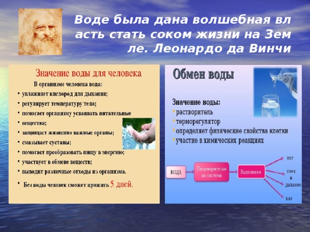 Воде была дана волшебная власть стать соком жизни на Земле. Леонардо да Винчи 