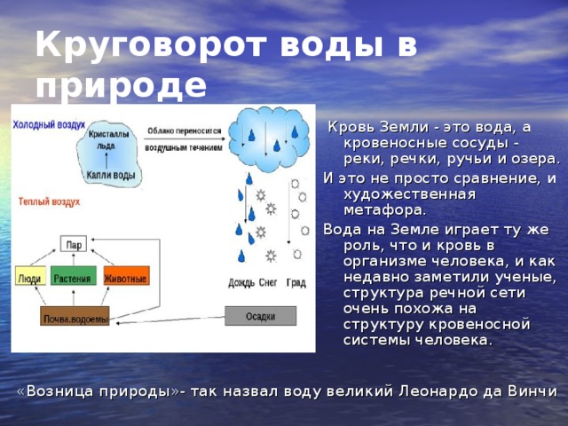 Круговорот воды в природе  Кровь Земли - это вода, а кровеносные сосуды - реки, речки, ручьи и озера. И это не просто сравнение, и художественная метафора. Вода на Земле играет ту же роль, что и кровь в организме человека, и как недавно заметили ученые, структура речной сети очень похожа на структуру кровеносной системы человека. «Возница природы»- так назвал воду великий Леонардо да Винчи 