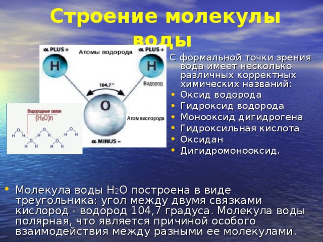  Строение молекулы воды С формальной точки зрения вода имеет несколько различных корректных химических названий: Оксид водорода Гидроксид водорода Монооксид дигидрогена Гидроксильная кислота Оксидан Дигидромонооксид. Молекула воды Н 2 О построена в виде треугольника: угол между двумя связками кислород - водород 104,7 градуса. Молекула воды полярная, что является причиной особого взаимодействия между разными ее молекулами. 