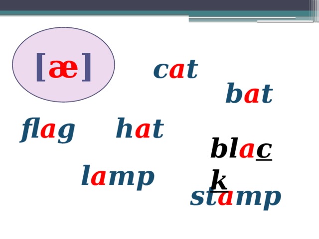 [ æ ] c a t b a t h a t fl a g bl a ck l a mp st a mp 