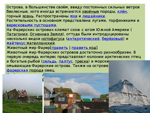 Острова, в большинстве своём, ввиду постоянных сильных ветров безлесные, хотя иногда встречаются  хвойные  породы,  клён , горный  ясень . Распространены  мхи  и  лишайники . Растительность в основном представлена лугами, торфяниками и  вересковыми пустошами . На Фарерских островах климат схож с югом Южной Америки ( Патагония ,  Огненная Земля ), оттуда были интродуцированы несколько видов  нотофагуса  ( антарктический ,  берёзовый ) и  майтенус  магелланский . Животный мир Фарер[ править  |  править код ] Животный мир Фарерских островов достаточно разнообразен. В первую очередь интерес представляют колонии арктических птиц и богатые рыбой ( сельдь ,  палтус ,  треска ) и морским зверем воды, омывающие Фарерские острова. Также на острове обитает  фарерская порода  овец. На фарерских скалах расселяются колонии  кайр . На Фарерских островах есть лежбища  гренландских тюленей . 