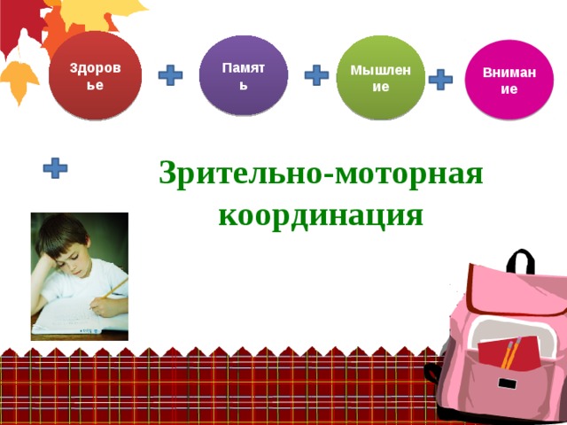 Здоровье Память Мышление Внимание Зрительно-моторная координация 