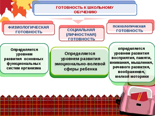 ГОТОВНОСТЬ К ШКОЛЬНОМУ ОБУЧЕНИЮ психологическая ГОТОВНОСТЬ ФИЗИОЛОГИЧЕСКАЯ ГОТОВНОСТЬ СОЦИАЛЬНАЯ (ЛИЧНОСТНАЯ) ГОТОВНОСТЬ определяется уровнем развития восприятия, памяти, внимания, мышления, речевого развития, воображения, мелкой моторики Определяется  уровнем развития основных функциональных систем организма  Определяется  уровнем развития эмоционально-волевой  сферы ребенка 