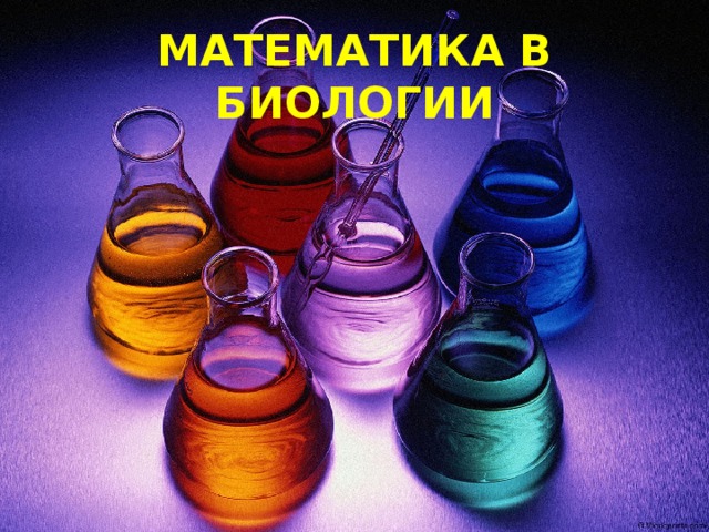 МАТЕМАТИКА В БИОЛОГИИ 