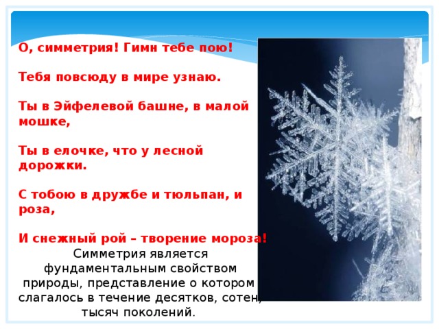 О, симметрия! Гимн тебе пою!  Тебя повсюду в мире узнаю.  Ты в Эйфелевой башне, в малой мошке,  Ты в елочке, что у лесной дорожки.  С тобою в дружбе и тюльпан, и роза,  И снежный рой – творение мороза! Симметрия является фундаментальным свойством природы, представление о котором слагалось в течение десятков, сотен, тысяч поколений. 