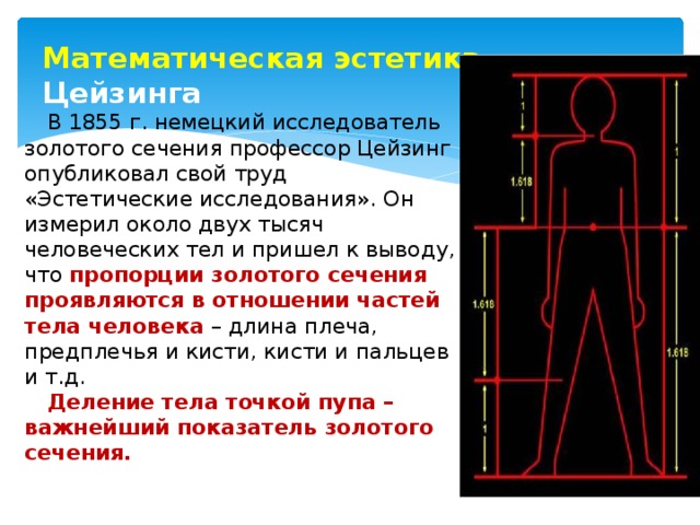 Математическая эстетика  Цейзинга В 1855 г. немецкий исследователь золотого сечения профессор Цейзинг опубликовал свой труд «Эстетические исследования». Он измерил около двух тысяч человеческих тел и пришел к выводу, что пропорции золотого сечения проявляются в отношении частей тела человека – длина плеча, предплечья и кисти, кисти и пальцев и т.д. Деление тела точкой пупа – важнейший показатель золотого сечения. 
