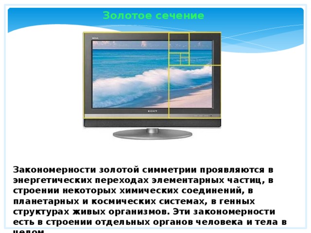 Золотое сечение Закономерности золотой симметрии проявляются в энергетических переходах элементарных частиц, в строении некоторых химических соединений, в планетарных и космических системах, в генных структурах живых организмов. Эти закономерности есть в строении отдельных органов человека и тела в целом. 