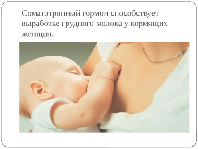 Соматотропный гормон способствует выработке грудного молока у кормящих женщин. 