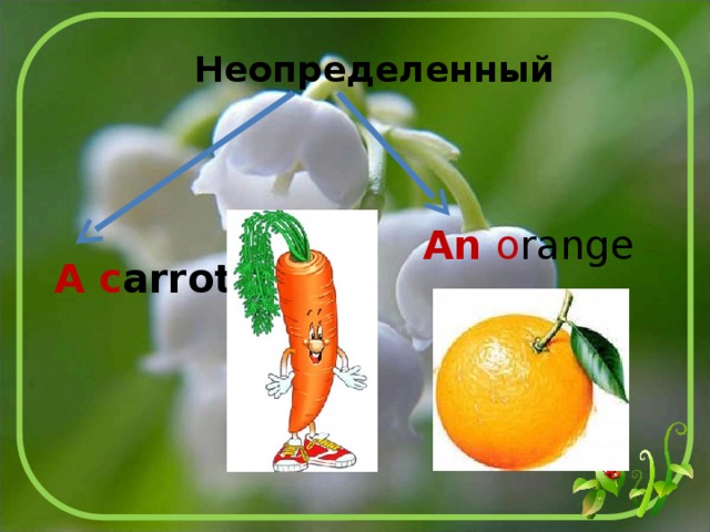 Неопределенный An o range A  c arrot 