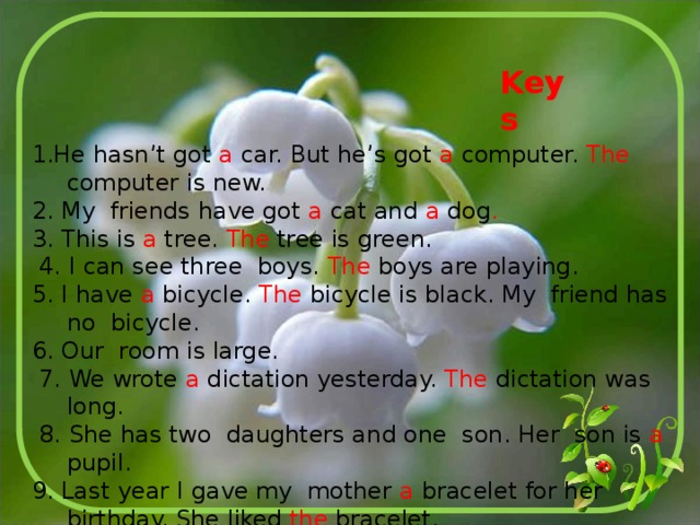 Keys 1.He hasn’t got a car. But he’s got a computer. The computer is new. 2. My friends have got a cat and a dog . 3. This is a tree. The tree is green.  4. I can see three boys. The boys are playing. 5. I have a bicycle. The bicycle is black. My friend has no bicycle. 6. Our room is large.  7. We wrote a dictation yesterday. The dictation was long.  8. She has two daughters and one son. Her son is a pupil. 9. Last year I gave my mother a bracelet for her birthday. She liked the bracelet. 10. My brother’s friend has no dog. 