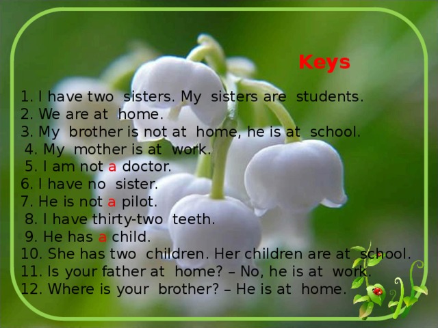 Keys 1. I have two sisters. My sisters are students. 2. We are at home. 3. My brother is not at home, he is at school.  4. My mother is at work.  5. I am not a doctor. 6. I have no sister. 7. He is not a pilot.  8. I have thirty-two teeth.  9. He has a child. 10. She has two children. Her children are at school. 11. Is your father at home? – No, he is at work. 12. Where is your brother? – He is at home. 