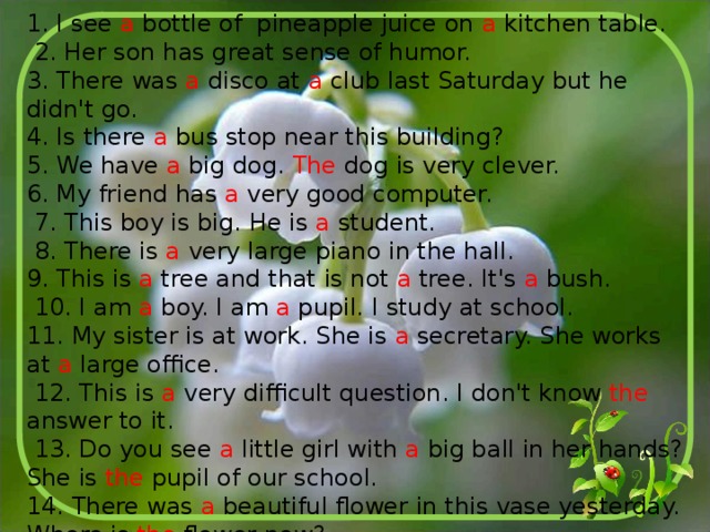 1. I see a bottle of pineapple juice on a kitchen table.  2. Her son has great sense of humor. 3. There was a disco at a club last Saturday but he didn't go. 4. Is there a bus stop near this building? 5. We have a big dog. The dog is very clever. 6. My friend has a very good computer.  7. This boy is big. He is a student.  8. There is a very large piano in the hall. 9. This is a tree and that is not a tree. It's a bush.  10. I am a boy. I am a pupil. I study at school. 11. My sister is at work. She is a secretary. She works at a large office.  12. This is a very difficult question. I don't know the answer to it.  13. Do you see a little girl with a big ball in her hands? She is the pupil of our school. 14. There was a beautiful flower in this vase yesterday. Where is the flower now? 