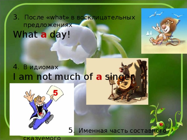 3. После «what» в восклицательных предложениях What a day! 4 . В идиомах I am not much of a singer.  5 . Именная часть составного сказуемого  I am a student. 