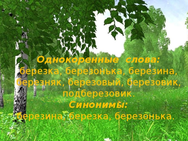 Однокоренные слова:  березка, березонька, березина, березняк, березовый, березовик, подберезовик.  Синонимы:  березина, березка, березонька.    