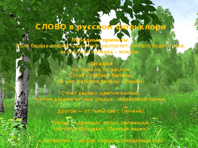 СЛОВО в русском фольклоре   Народные приметы:  Коли берёза вперед ольхи лист распустит, то лето будет сухое, если ольха наперед – мокрое.     Загадки  На поле на тагайском  Стоят столбики белёны,  На них шапочки зелёны. (берёза)   Стоит дерево, цветом зелено;  в этом дереве четыре угодья: (берёзовые почки)   Другое — от тьмы свет, (лучина)   Третье — дряхлых, вялых пеленанье,  чистоту соблюдает, (банный веник)   А четвертое — людям колодец.(берёзовый сок)   
