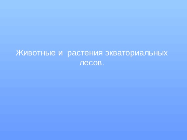 Животные и растения экваториальных лесов. 